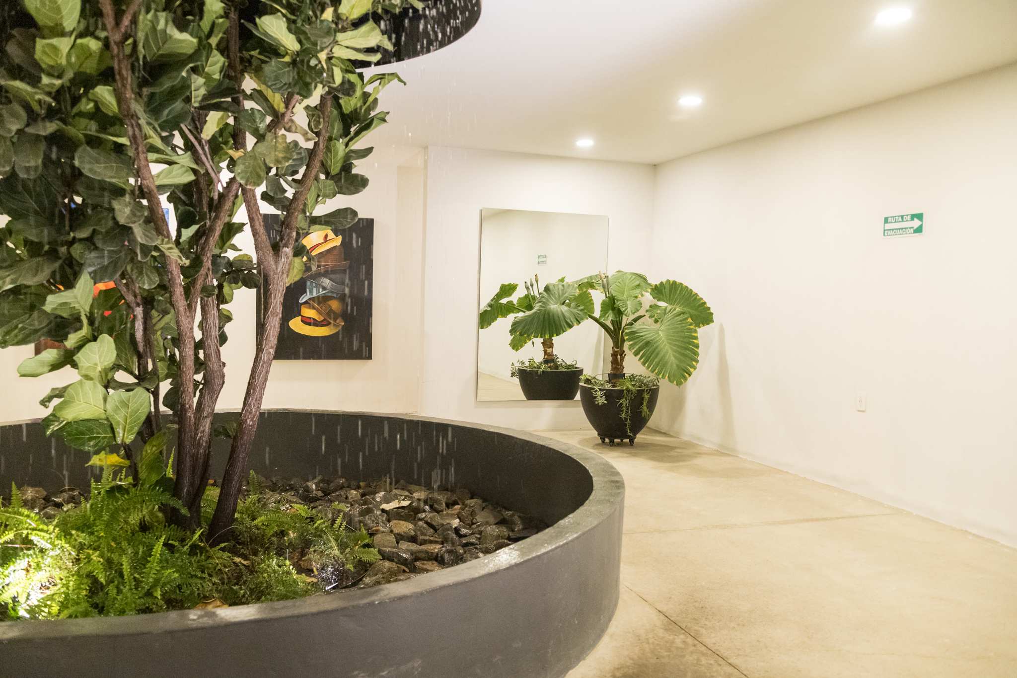 Fuente Pandurata Distribuidor de Baños Invitados