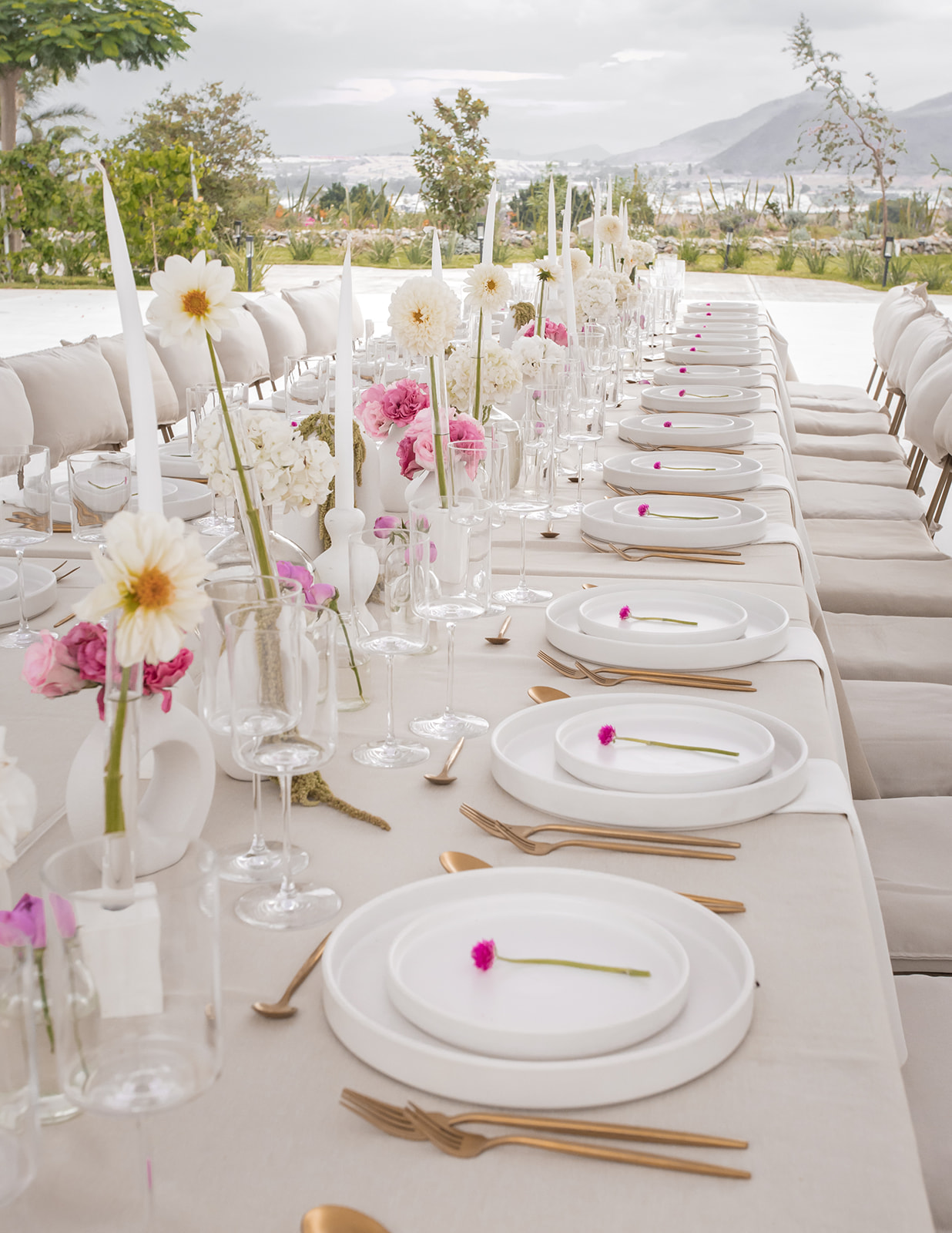Terraza con vista al bosque